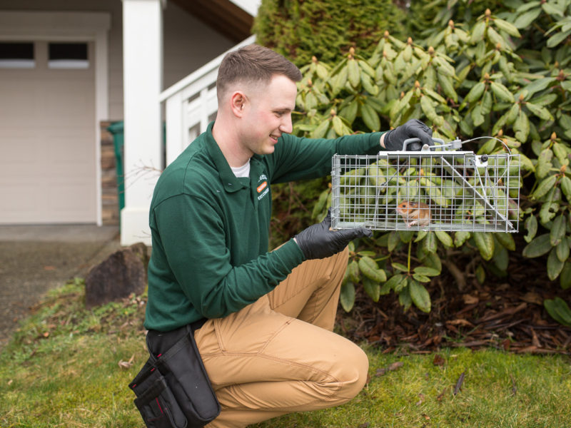 Campbell Natural Pest Control